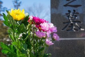 お墓参りにはどんなお花がいいの 花の種類や相場についても解説 葬儀屋さん