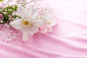 葬儀 お花代とは 香典との違い 書き方 包み方 相場を解説 葬儀屋さん
