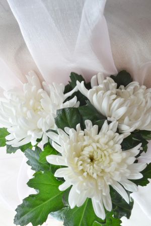 葬儀 お花代とは 香典との違い 書き方 包み方 相場を解説 葬儀屋さん