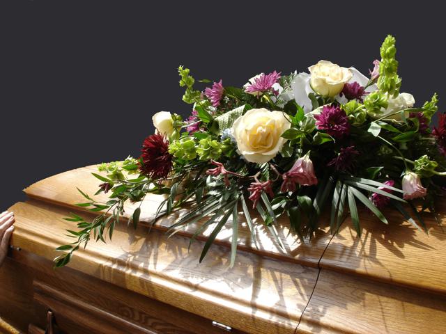 しきみは魔除けの植物 仏事との関連性や毒性について詳しく解説 葬儀屋さん