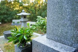 お墓にお供えする葉っぱとは?葉っぱの種類は意味などについても解説
