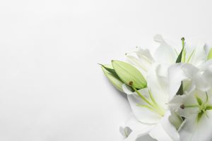 キリスト教式の御花料とは 書き方を含むマナーや金額相場までを解説 葬儀屋さん