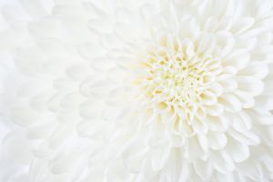 お通夜で何と言葉をかける お悔やみの言葉 マナー 注意点 葬儀屋さん お通夜で何と言葉をかける お悔やみの言葉 マナー 注意点 葬儀屋さん