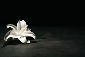 亡くなってから葬式までに要する日数は 葬式までの流れも詳しく解説 葬儀屋さん