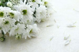 葬儀に贈る花籠の花の種類や値段などマナーや基礎知識を徹底解説 葬儀屋さん 葬儀に贈る花籠の花の種類や値段などマナーや基礎知識を徹底解説 葬儀屋さん