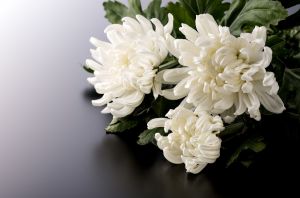 お墓参りで供える花の選び方 マナーやタブー おすすめの花を紹介 葬儀屋さん お墓参りで供える花の選び方 マナーやタブー おすすめの花を紹介 葬儀屋さん