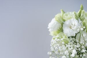 お葬式 供花料とは 読み方 書き方 渡し方 相場など徹底解説 葬儀屋さん