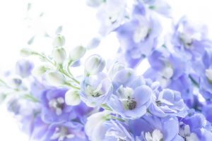 喪中にやってはいけないことって何 行事毎の注意点を紹介します 葬儀屋さん