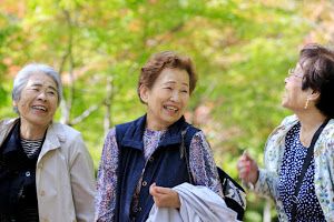 祖母の喪中はがきは出す 妻 夫の祖母やどこまで出すかを解説 葬儀屋さん 祖母の喪中はがきは出す 妻 夫の祖母やどこまで出すかを解説 葬儀屋さん