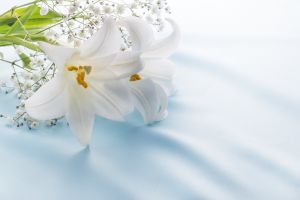 お通夜に行けない 葬儀を欠席する際のメールの出し方について 葬儀屋さん お通夜に行けない 葬儀を欠席する際のメールの出し方について 葬儀屋さん