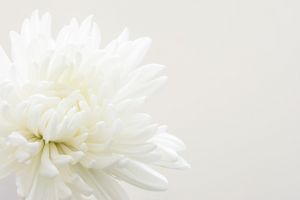 弔電はいつ送るべき タイミングや送り方などを詳しく解説 葬儀屋さん